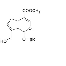 Extrato de Gardenia, extrato de astrágalo e extrato de Bacopa Monnieri